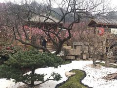 -万达广场(无锡滨湖店)