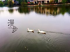 -杭州世外桃源君澜度假酒店