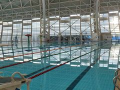 -广西体育中心-游泳馆