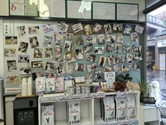 -爱妮康宠物医院·干细胞免疫细胞·肿瘤·心脏(张江店)