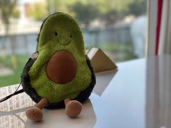 -菌子鲜汤野生菌锅