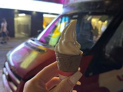 -富豪雪糕车流动点(尖沙咀店)