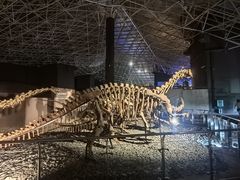 -世界恐龙谷景区