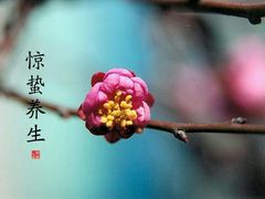 -龙达温泉生态城