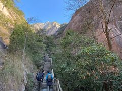 -黄山风景区