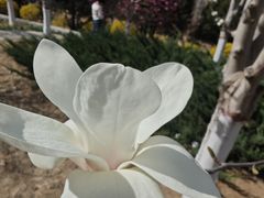 -燕郊植物园