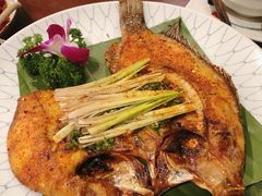 -紫滇源云南生态菜(丹凤街店)