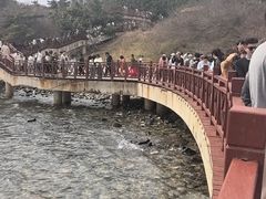 -养马岛旅游度假区