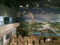 景点-自贡恐龙博物馆