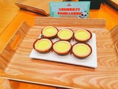 -美食小镇·观赏珍稀鸟类·长隆熊猫酒店