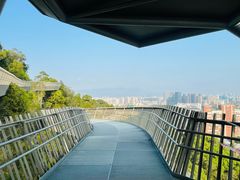 -福道