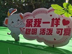 -野象谷景区