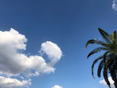 -Peet's Coffee皮爷咖啡(上海长风大悦城店)