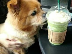 -星巴克(红房子店)