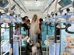 -帕帕拉兹宠物(亚洲旗舰店)