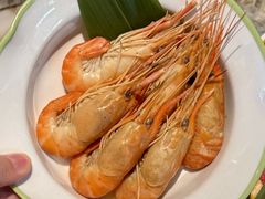 -阿古蒙·传统涮火锅自助(三台子万象汇店)