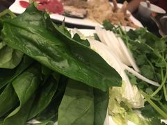 -峨嵋一派