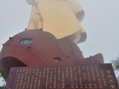 -大金鹰园