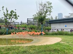 -武汉动物园