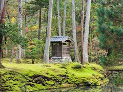 -西芳寺(苔寺)