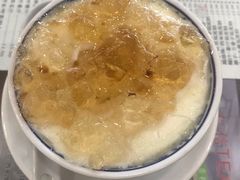 桃胶双皮奶-仁信老铺(华盖路店)