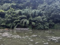 -黔灵山公园