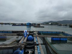 -海上驿站渔家菜馆