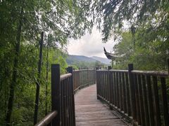 -陶祖圣境风景区