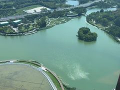 -嘉定凯悦·咖啡厅