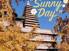-北京石刻艺术博物馆(五塔寺)
