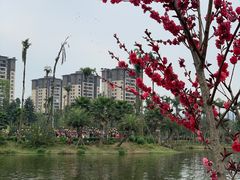 -枫香湖儿童公园