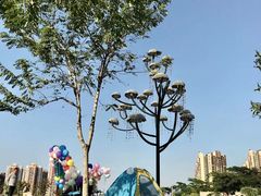 -白石龙音乐公园
