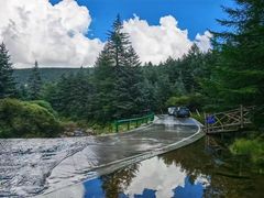 -芦芽山旅游度假区