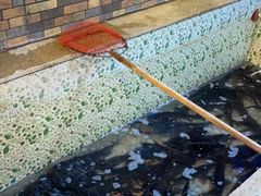 -荣德灶台鱼(圣泉寺店)