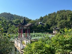 -青龙山国家森林公园
