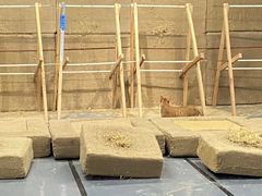 -蓝天射箭馆·专业射箭运动(诚丰广场店)