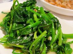 -云中小雅