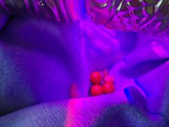 -万和春排骨砂锅米饭(新业广场店)