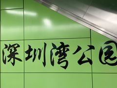 -深圳湾公园(南山区)