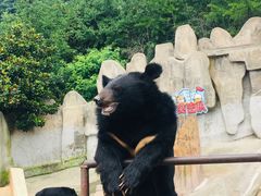 -东方熊牧场