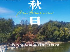 -塘沽森林公园