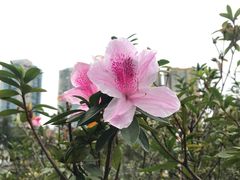 -晓港公园