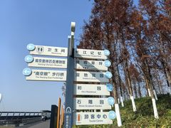 -南京眼步行桥