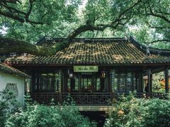 -上海醉白池公园