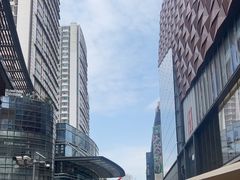 -大悦城(沈阳中街店)