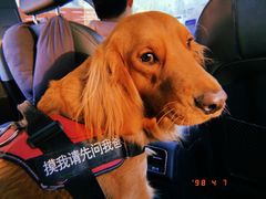 -小赖鱼馆