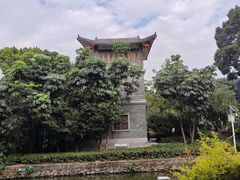 -荔湾湖公园