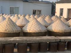 -苏州市吴中区光福窑上花果蜜饯厂