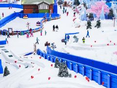 -湘江欢乐城欢乐雪域