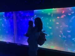 -左海海底世界